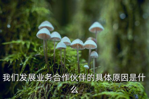 為什么要發(fā)展同業(yè)業(yè)務，匯付天下之前說要大力發(fā)展同業(yè)業(yè)務同業(yè)業(yè)務指的是甚么