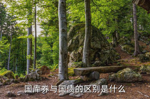 國庫券與國債的區(qū)別是什么，國庫券與國債的區(qū)別是什么