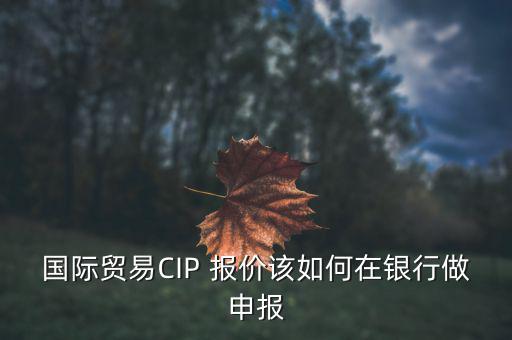國(guó)貿(mào)分析報(bào)價(jià)怎么做,分析單價(jià)對(duì)投標(biāo)人沒有實(shí)際意義