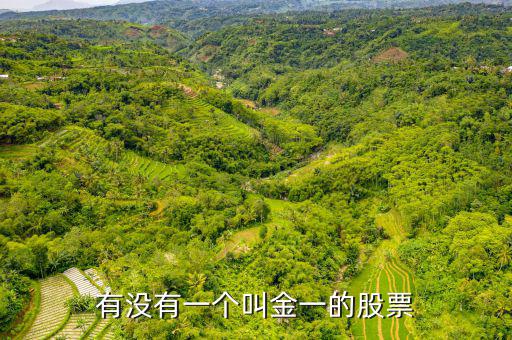金一文化為什么停牌，金一文化什么時候復牌