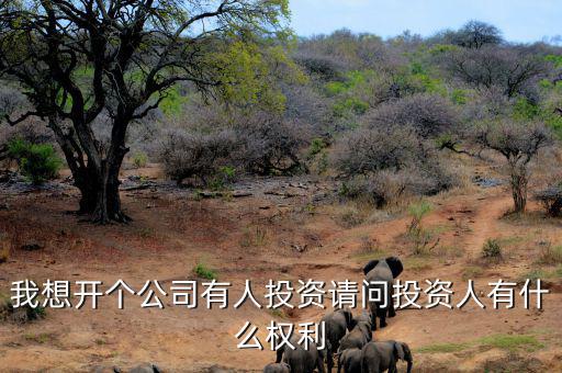 投資人最核心的優(yōu)先權是什么，投資人最關心哪三大核心問題
