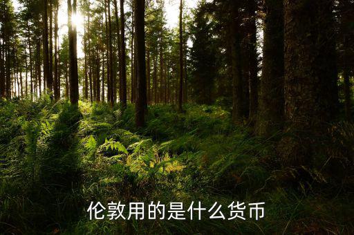倫敦用什么貨幣，英國(guó)倫敦用什么錢(qián)飲食吃什么