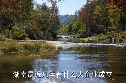 湘鐵集團(tuán)什么時(shí)候成立子公司，母公司設(shè)立子公司