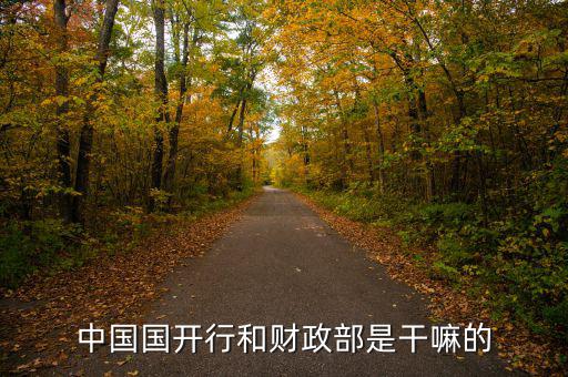 中國國開行和財政部是干嘛的