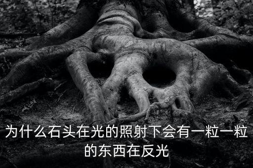 中金星石為什么這么差，為什么石頭在光的照射下會有一粒一粒的東西在反光