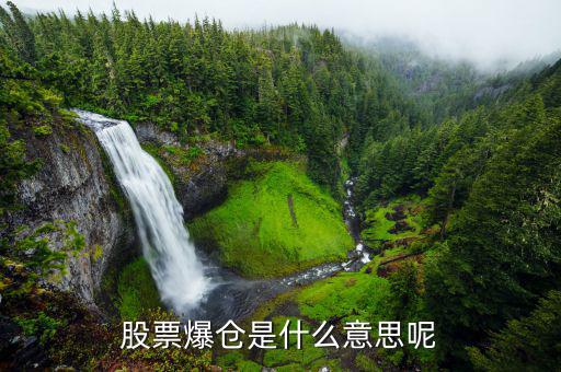 股票爆倉是什么意思，股市中的爆倉是什么意思