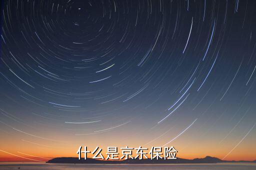 京東品質(zhì)險(xiǎn)是什么意思，京東交通險(xiǎn)是什么意思