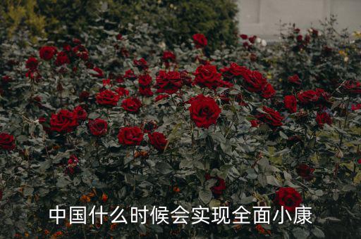 中國什么時(shí)候會(huì)實(shí)現(xiàn)全面小康