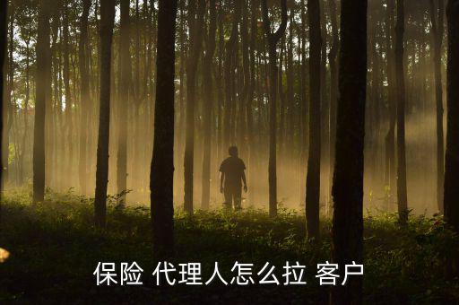 保險(xiǎn) 代理人怎么拉 客戶