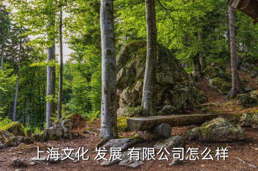 上海電影藝術發(fā)展有限公司怎么樣