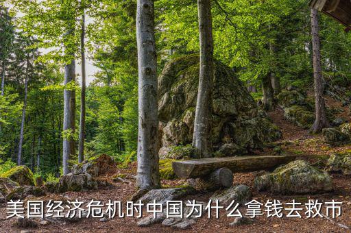 美國經(jīng)濟(jì)危機(jī)時中國為什么拿錢去救市