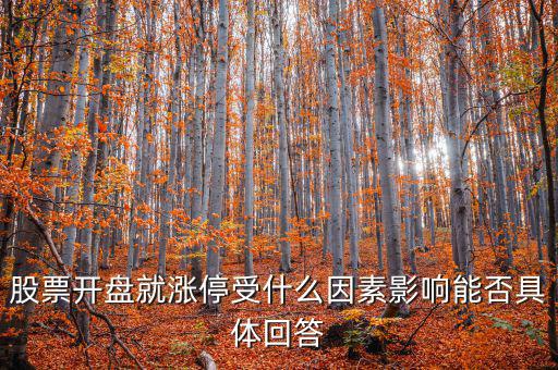 股票開(kāi)盤就漲停受什么因素影響能否具體回答