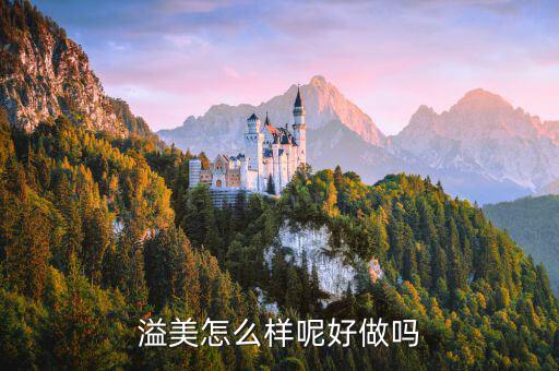 溢美金融做什么的，哪家保理公司的做的好