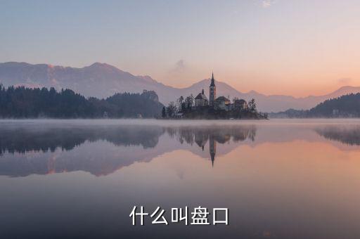 大盤口什么意思，大盤中的盤口是什么意思啊