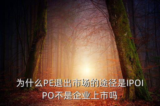 pe為什么要退出，為什么PE退出市場的途徑是IPOIPO不是企業(yè)上市嗎