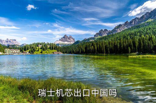 瑞士以什么出口為主，瑞士主要運輸方式是什么