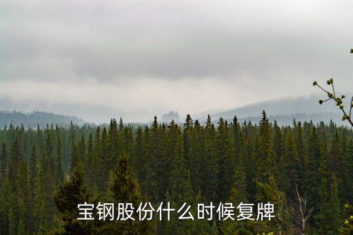 寶鋼什么時(shí)候復(fù)牌，武鋼和寶鋼什么時(shí)候完成重組