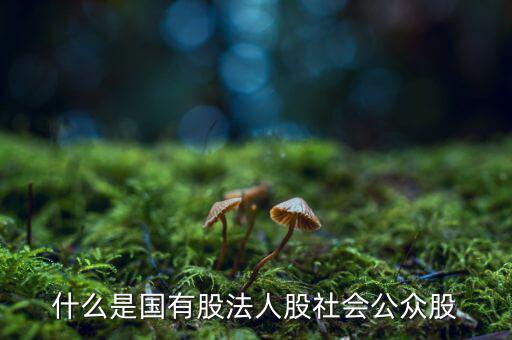 什么情況叫公眾持股，股份制上市企業(yè)誰能幫我解釋一下它是公企還是私企