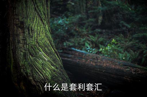 外匯套利是什么意思，什么是外匯期貨套利交易
