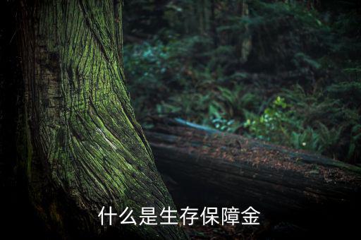 什么是生存保險金，什么是生存保障金