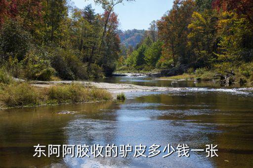 東阿阿膠股2012年是什么價位，誰知道山東東阿阿膠股份有限公司生產(chǎn)的補血膏多少錢一平300克的