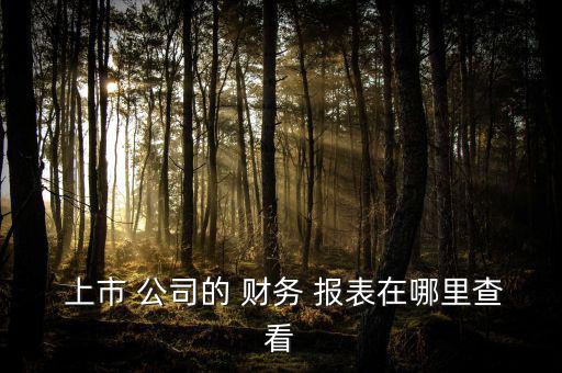  上市 公司的 財務(wù) 報表在哪里查看