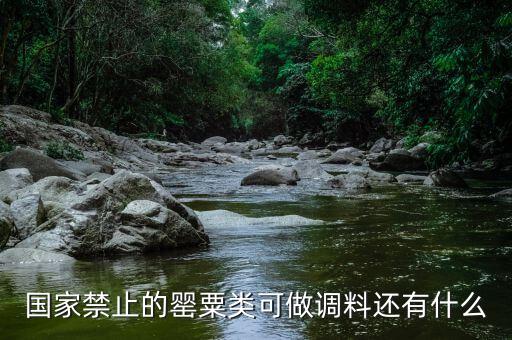 國家違禁香料有什么，國家禁止的罌粟類可做調料還有什么