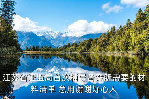輔導(dǎo)備案登記受理是什么階段，我想問(wèn)一下辦一般納稅人申請(qǐng)后我們的輔導(dǎo)期是當(dāng)月 15小