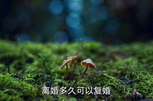 離婚多久可以復(fù)婚