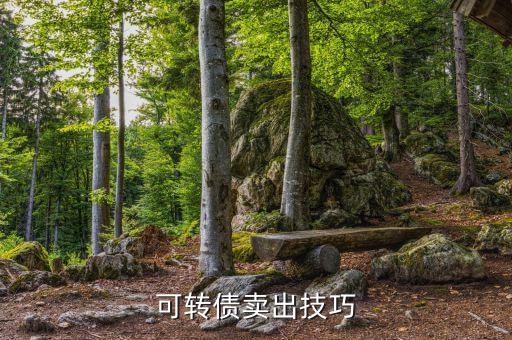 怎么具體買(mǎi)賣可轉(zhuǎn)讓債券,可轉(zhuǎn)債快速賣出技巧如下