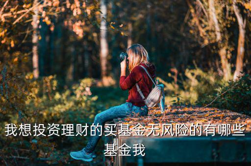 買什么基金是沒有風險，什么樣的基金沒有太大的風險