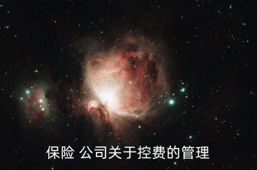 海虹控股公司怎么樣,醫(yī)療it公司才剛開始推進(jìn)醫(yī)?？刭M(fèi)系統(tǒng)