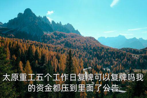 太原重工五個工作日復牌可以復牌嗎我的資金都壓到里面了公告