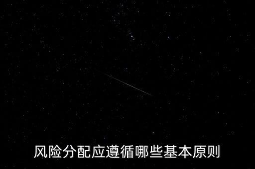 風險分配應遵循哪些基本原則