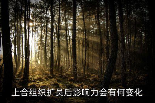 上合組織什么時(shí)候擴(kuò)員，上合組織可能擴(kuò)員么