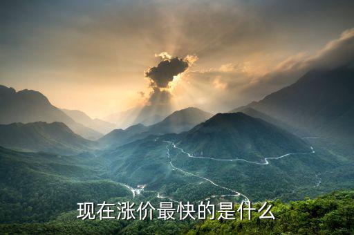 什么漲價快，大家猜猜看 什么東西會漲價的很快