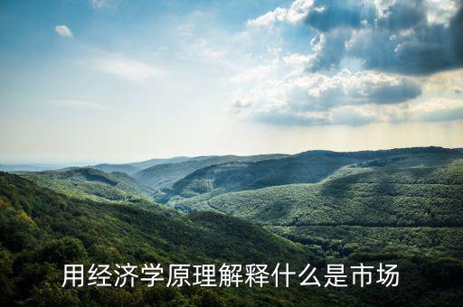 用經(jīng)濟(jì)學(xué)原理解釋什么是市場