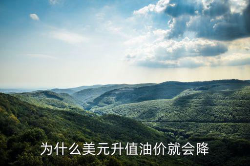 美國(guó)油價(jià)為什么跌，美國(guó)原油價(jià)格為什么會(huì)從100多美元跌到43美元并且分析以后的趨勢(shì)