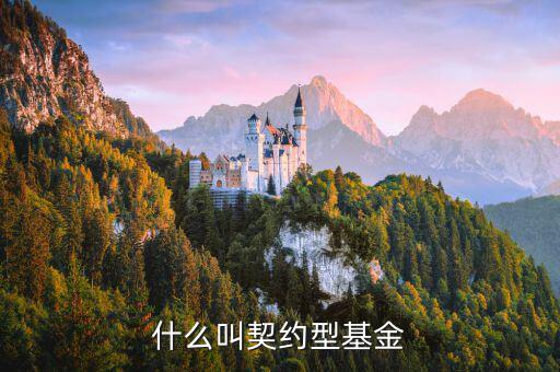 什么是合同型基金，什么叫契約型基金