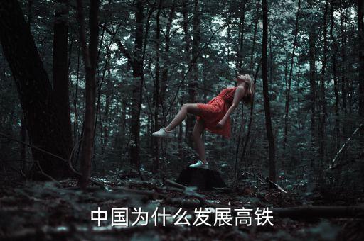中國為什么大力發(fā)展高鐵，中國為什么發(fā)展高鐵