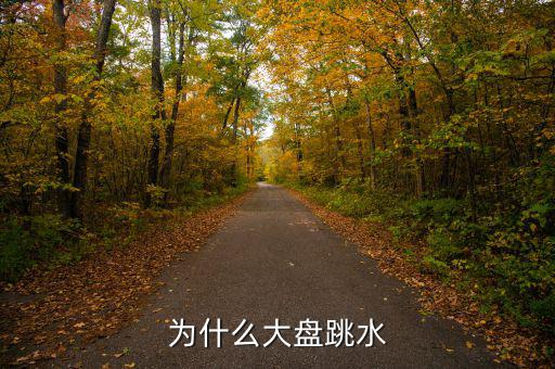 為什么大盤(pán)跳水