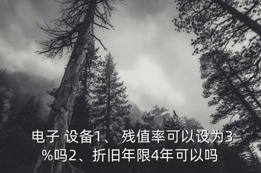  電子 設(shè)備1、 殘值率可以設(shè)為3%嗎2、折舊年限4年可以嗎