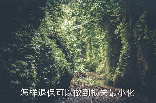 什么辦法能退保險(xiǎn)不損失，退保怎樣能減少損失