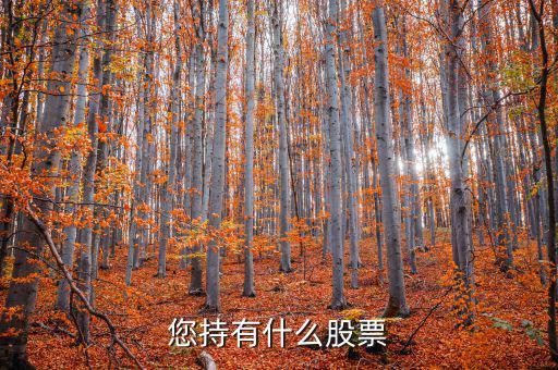張正委持有什么的股票，香港中央代理人持有哪些股票