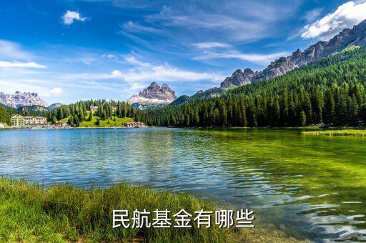 飛機(jī)票還有什么民航基金，民航基金有哪些