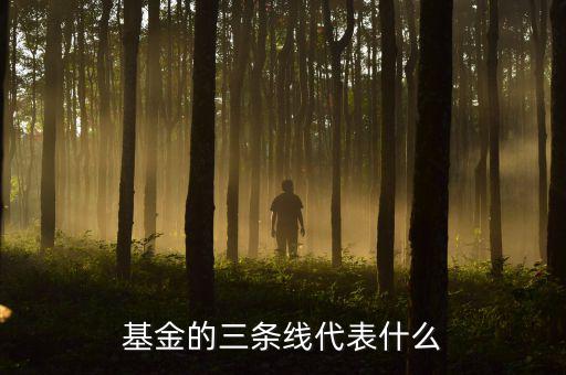 基金滬深兩條線是什么意思，這基金的幾條線分別代表什么意思