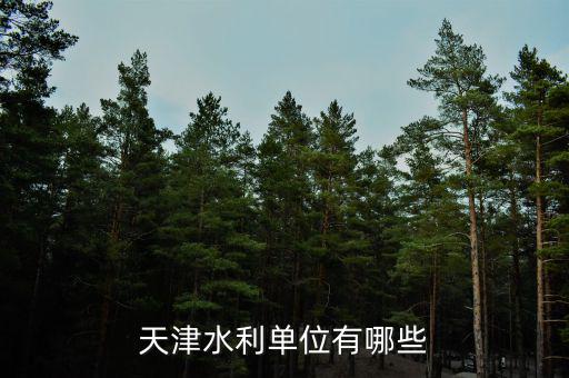 中水致遠屬于什么單位性質(zhì)，天津水利單位有哪些