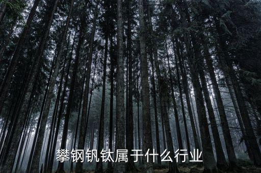 釩鈦產(chǎn)業(yè)屬于什么行業(yè)，攀鋼釩鈦屬于什么行業(yè)