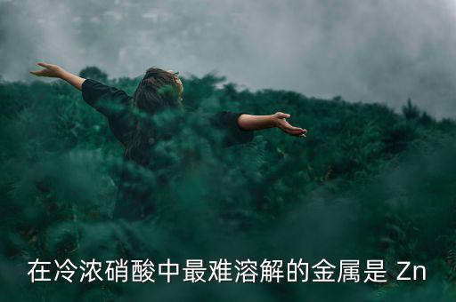 什么金屬易融難化，最不容易融化的金屬是什么想對(duì)來(lái)說(shuō)便宜一點(diǎn)的是什么