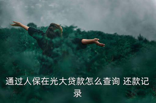 通過(guò)人保在光大貸款怎么查詢(xún) 還款記錄